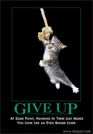 give up kitten